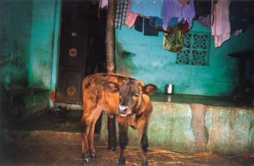 Panaji, Goa
