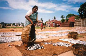 alleppey, Kerala