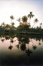 alleppey, Kerala