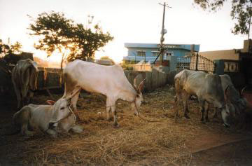 hospet, karnataka
