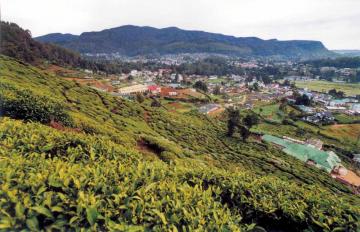 nuwara elia