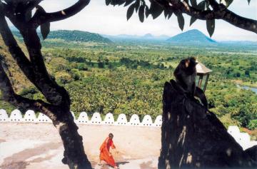 dambulla