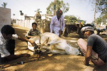 hospet, karnataka